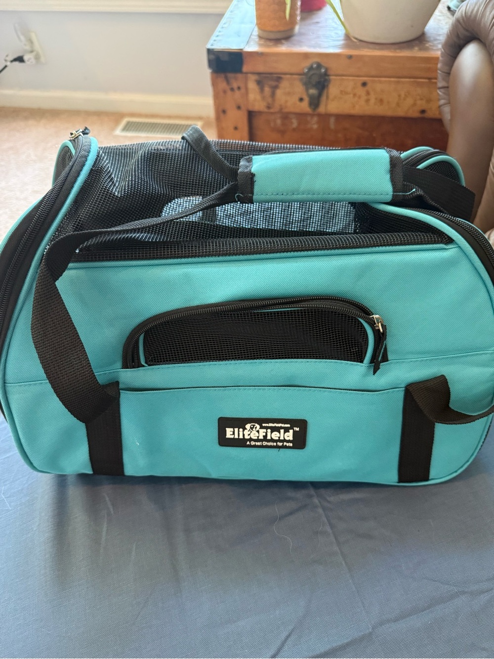 Teal Pet Carrier Bag